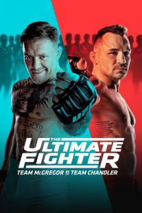 UFC - универсальный боец